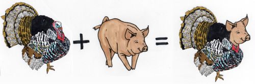 Ein Truthahn plus ein Schwein ist gleich ein Trutschwein